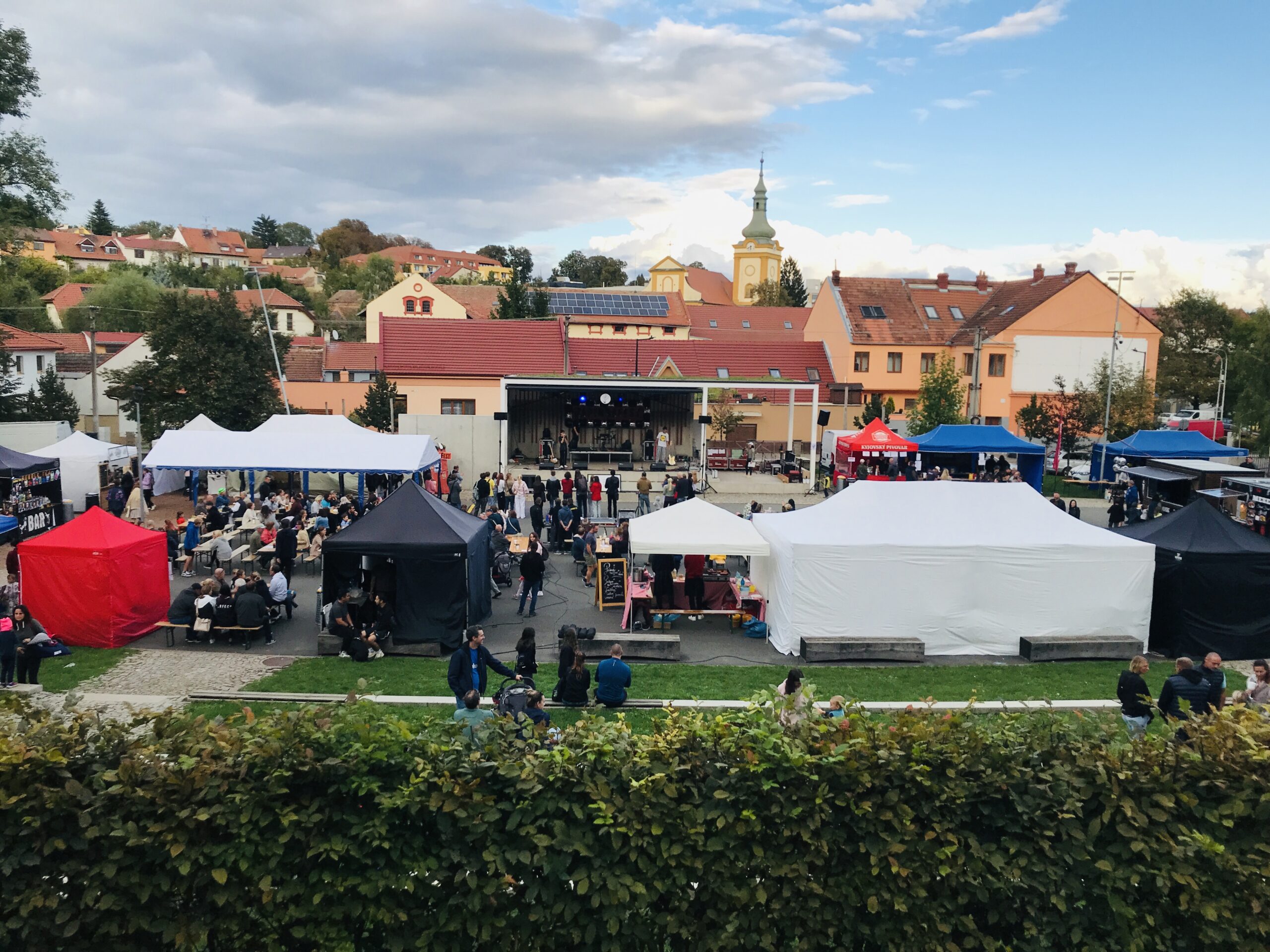 Kytaristi z parku festival