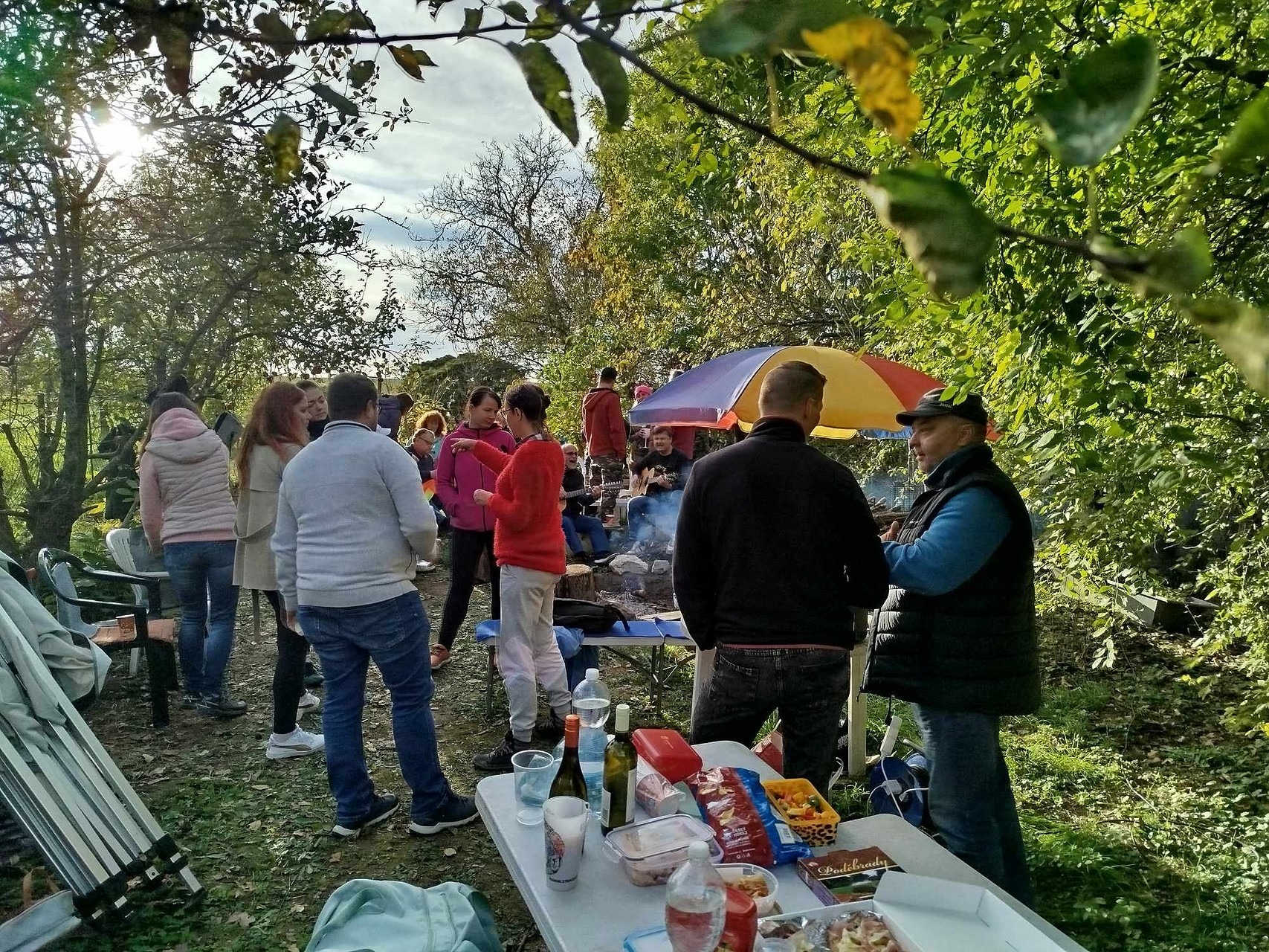 Kytaristi z Parku